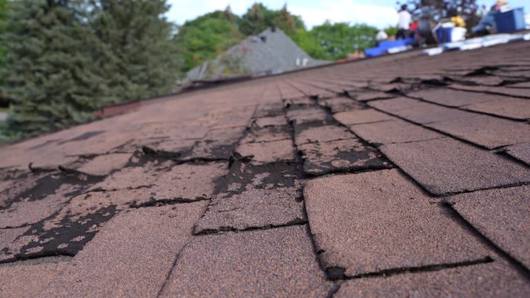 Best Chimney Flashing Repair  in Freeport, IL