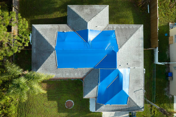 Best Roof Insulation Installation  in Freeport, IL