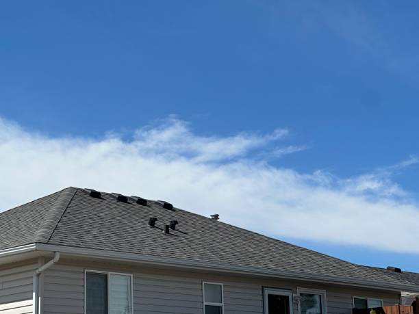 Best Roof Repair  in Freeport, IL